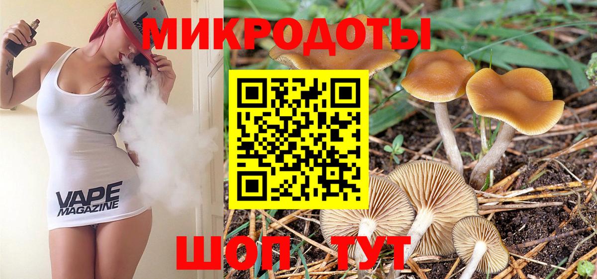 Псилоцибиновые грибы Cubensis Гусиноозёрск